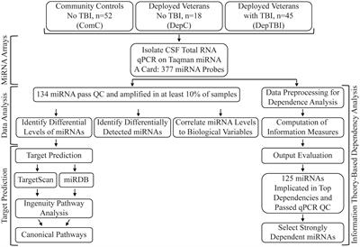 Cerebrospinal Fluid MicroRNA Changes in Cognitively Normal Veterans With a History of Deployment-Associated Mild Traumatic Brain Injury